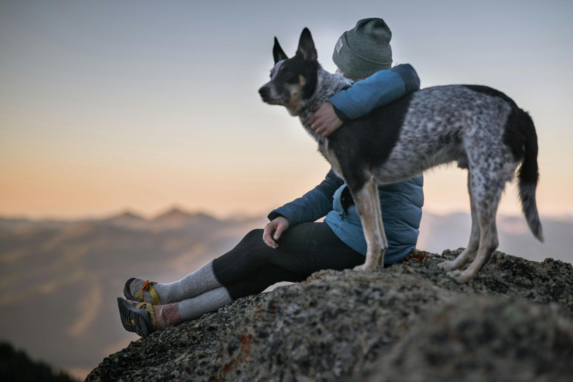 Dog & Cat Vets in Alaska